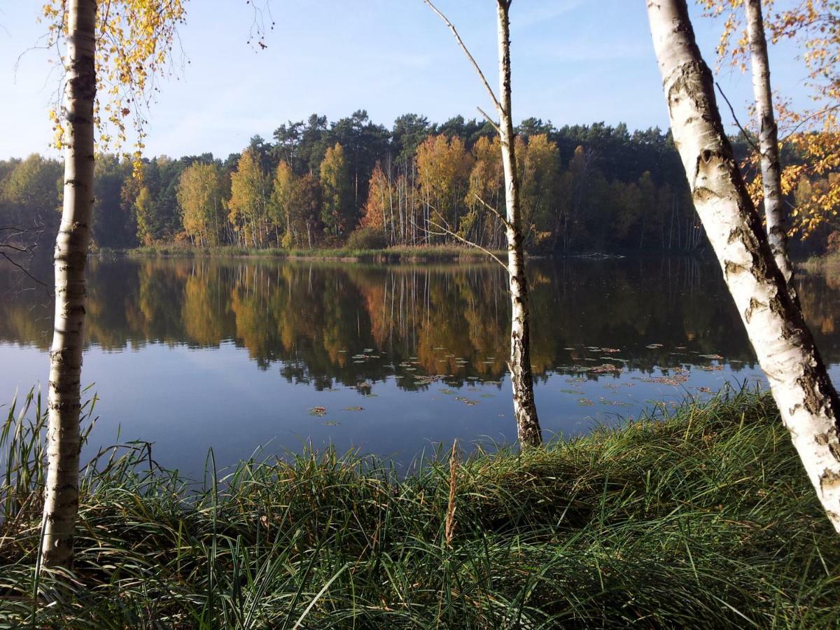 Seeblick III Bad Saarow Buitenkant foto